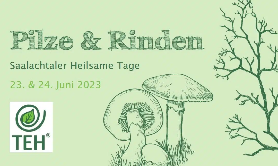 Pilze und Rinden