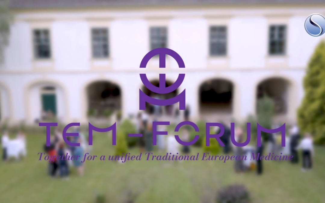 Nachbericht TEM-Forum